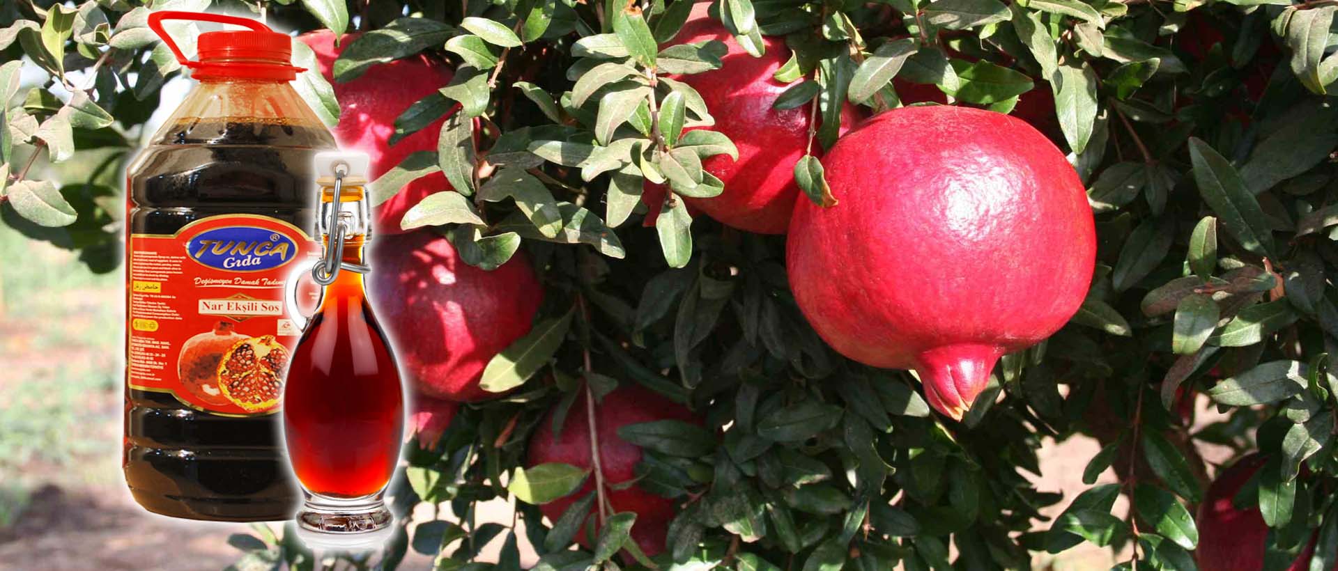 100% organic sesame tahini