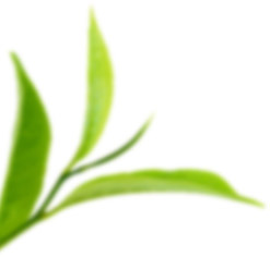 Tunca Gıda pomegranate syrup and sauces